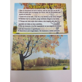 Envelope Salmo 91 MG 231