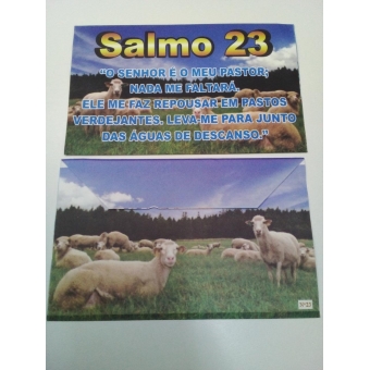 pacote com 100 unidades - Envelope Salmo 23  - MG 201 - 100 unidades