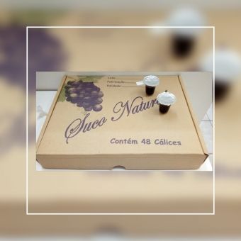 Suco de Uva - Santa Ceia  - SC 101 - 48 unidades